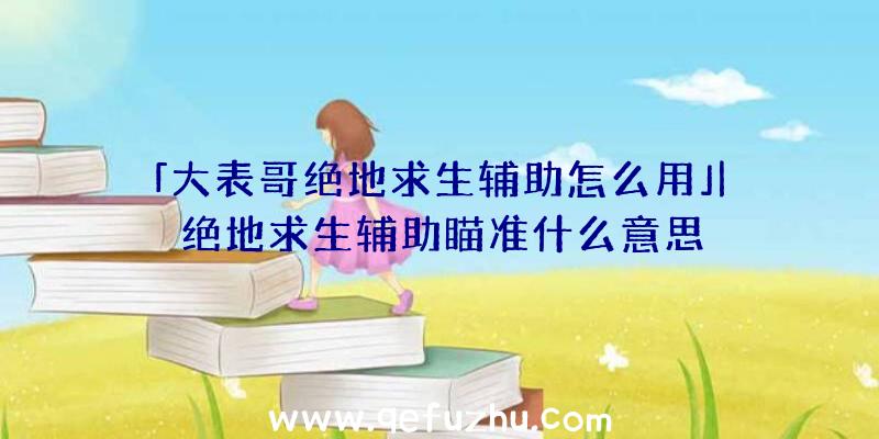 「大表哥绝地求生辅助怎么用」|绝地求生辅助瞄准什么意思